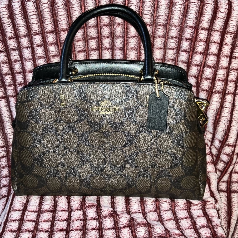 Coach Lillie Mini Carryall